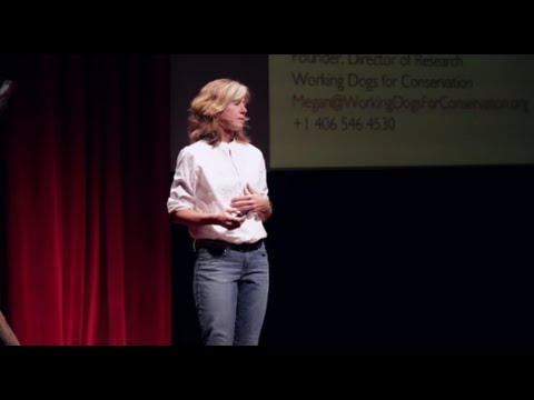 Dogs for Conservation | Megan Parker | TEDxJacksonHole