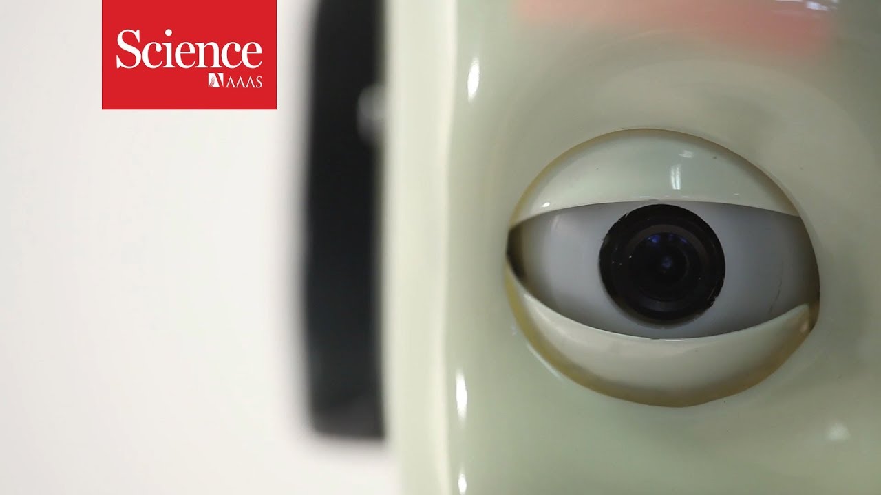 Science Explains: Why do we keep making robots that look like people?